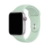 Silver Apple Watch with beryl green sport band and red digital crown