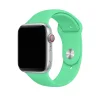 Smartwatch with silver case and spearmint green sport band strap