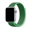 Green nylon sport loop band for Apple Watch with silver case